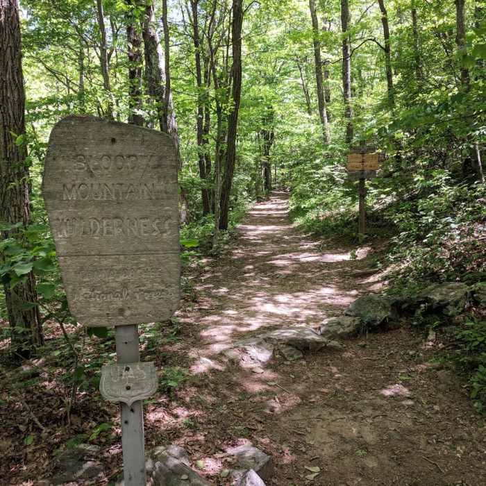 Near Blood Mountain via Woody Gap