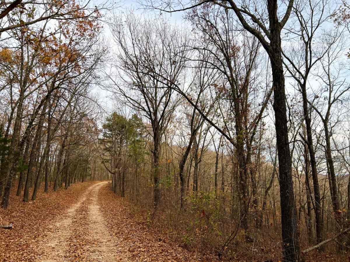 Mary Cole Ridge photo 5