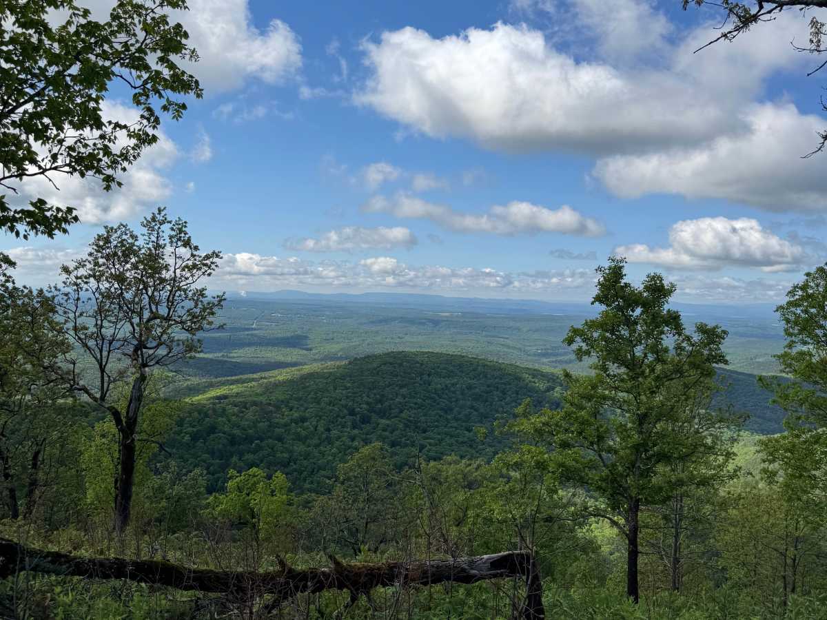 Pilot Rock Mountain Road photo 6