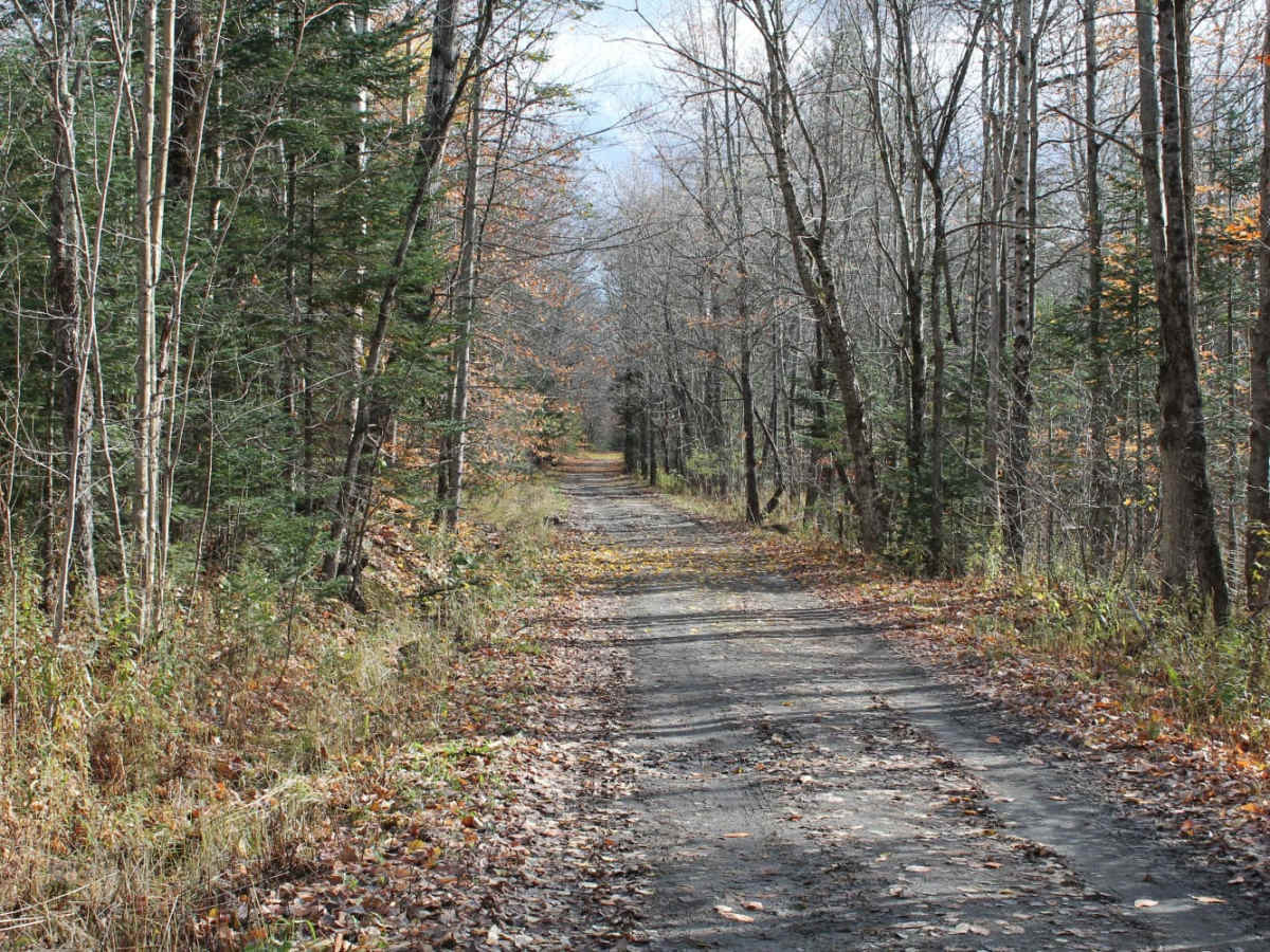 Symonds Mill Road photo 3