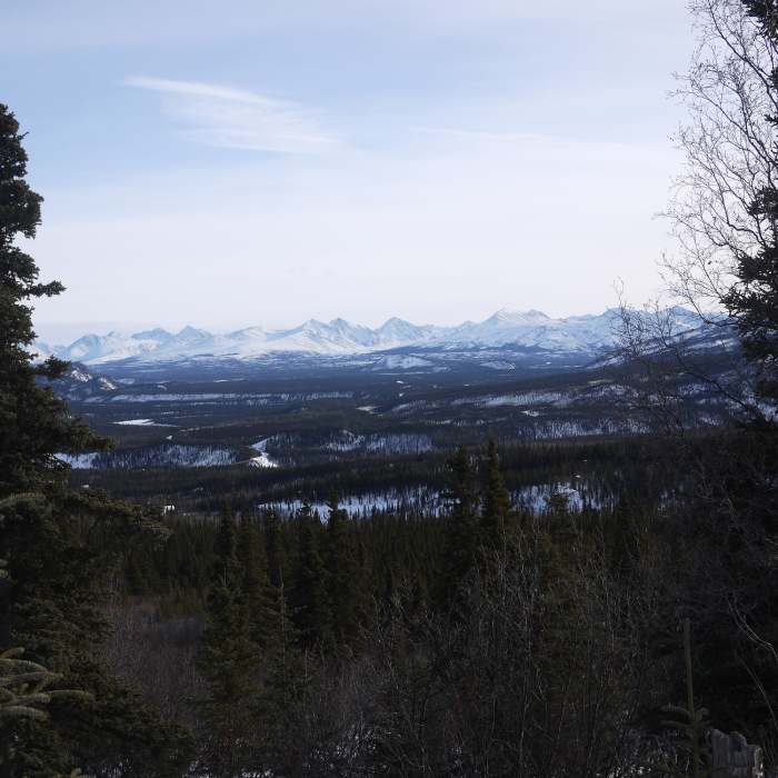Headed up Mt. Healy. Near Mt. Healy Out and Back