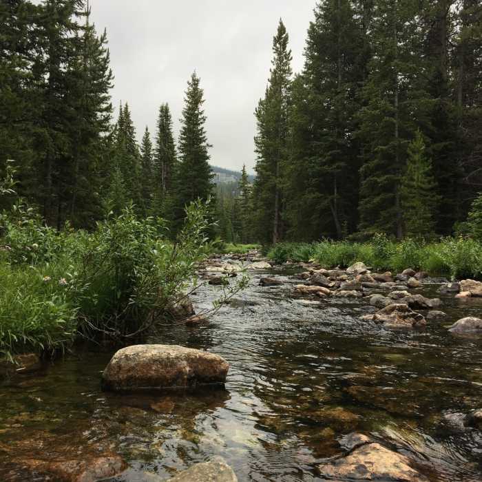 Near Elsa/Spear Lake Loop