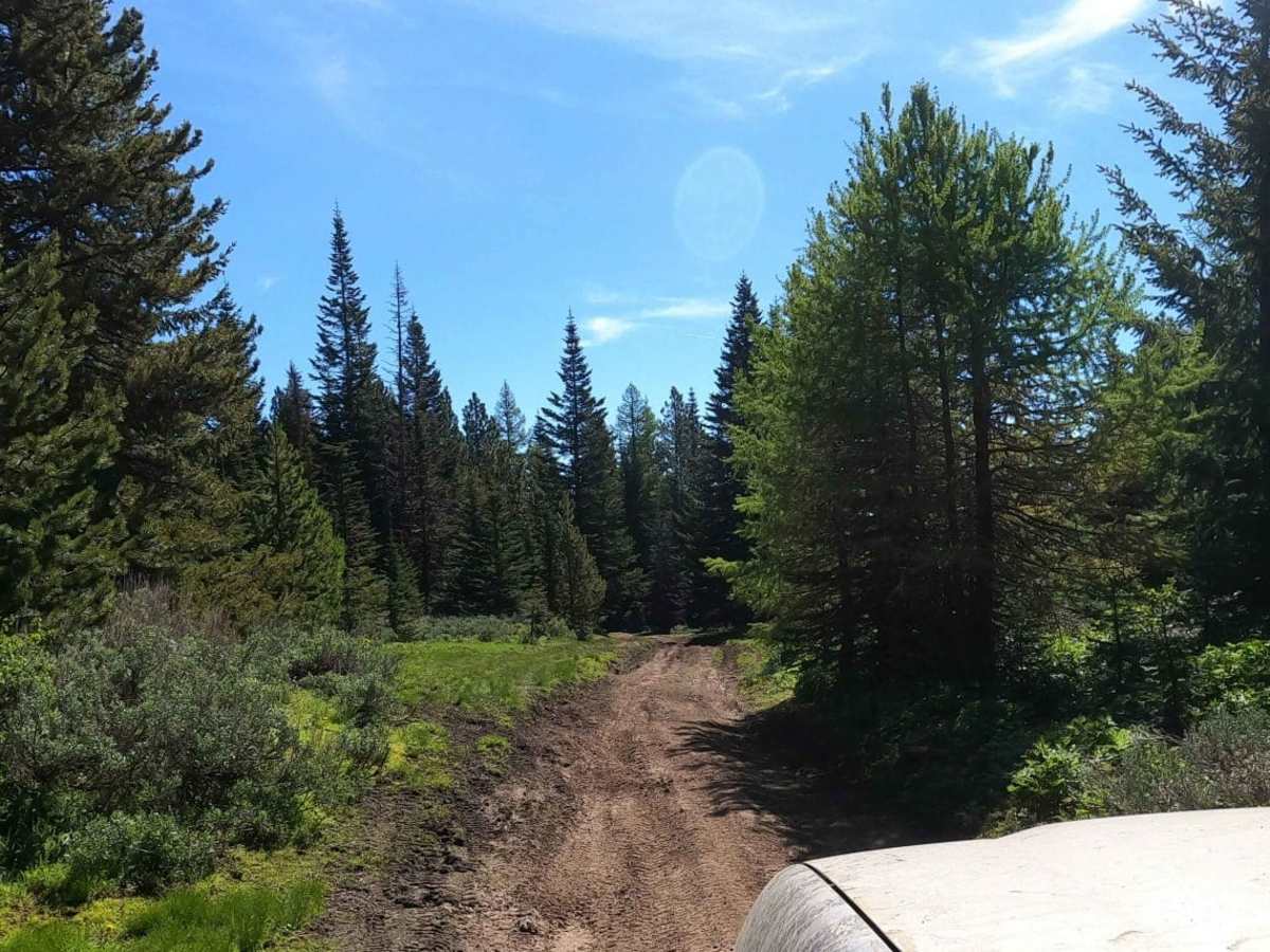 Reynolds Creek Tie - C1201 photo 3