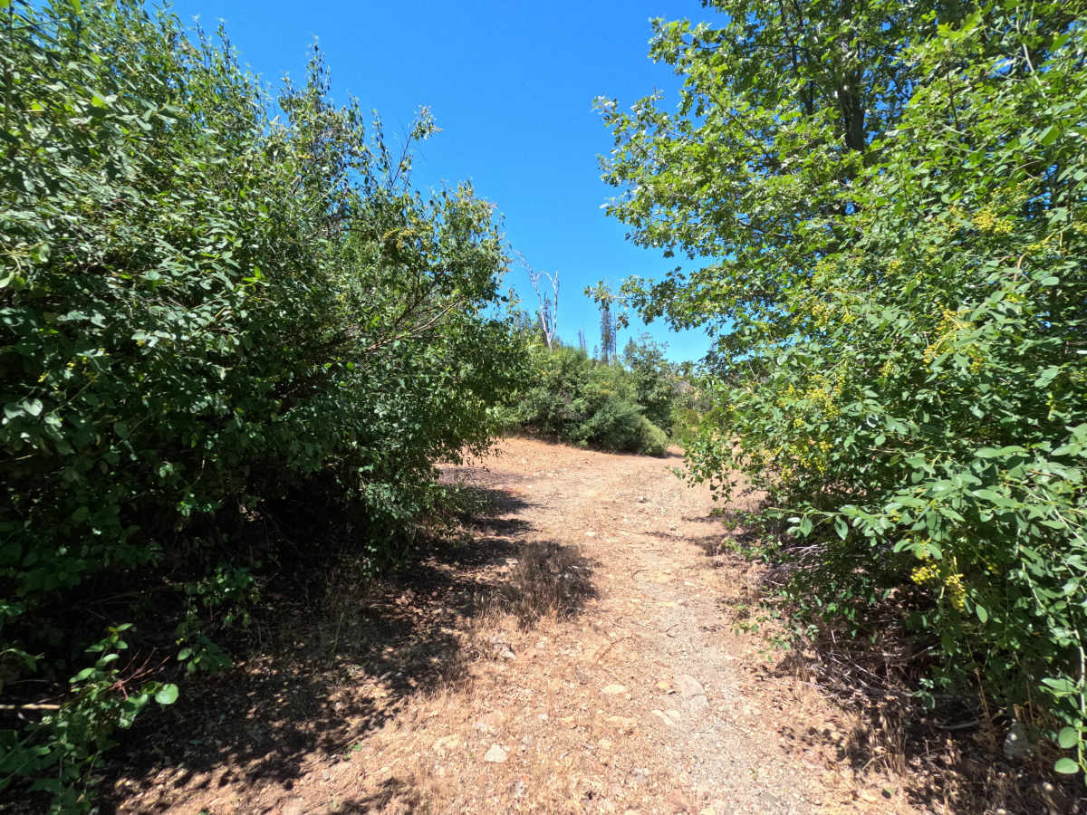 FS 1S60 trail photo