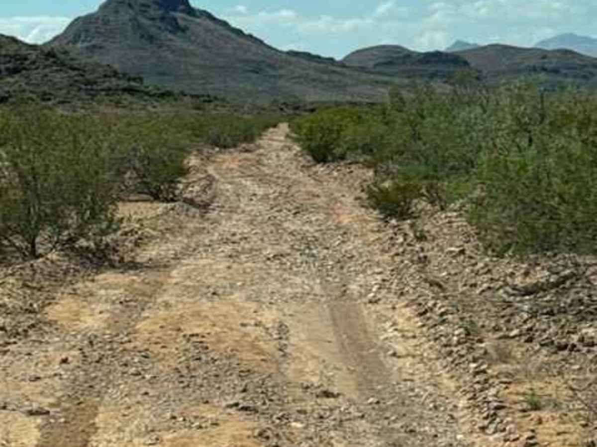 BLM PE1132 photo 2