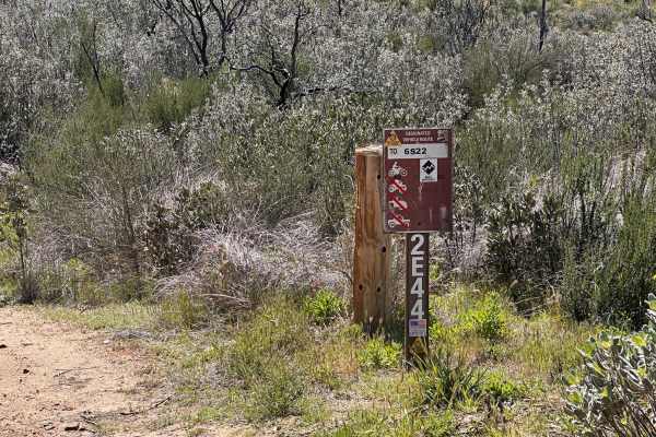 Allesandro Trail - 2E44