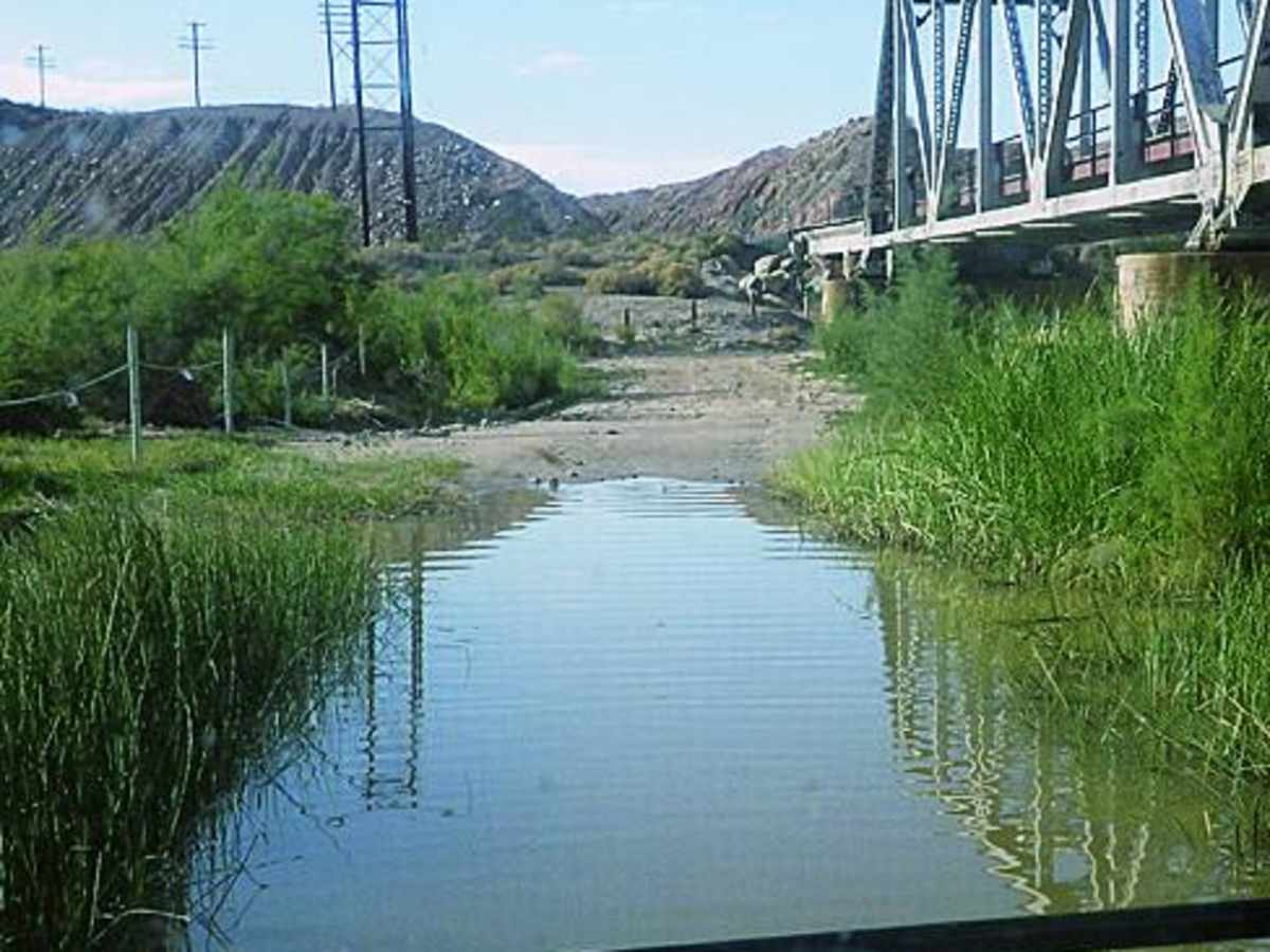 Mojave Road, West photo 4