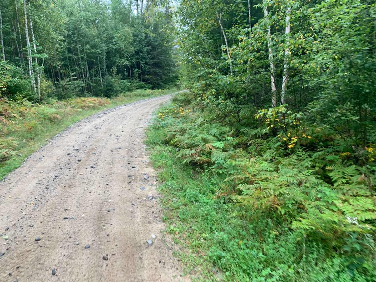 Vermigrade Spur D Trail photo 2