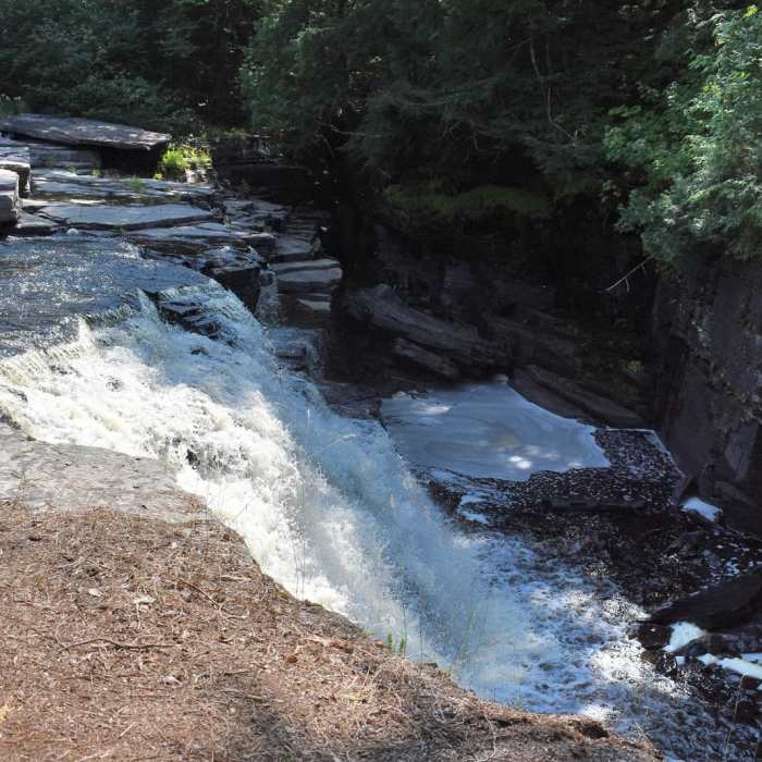 Near Canyon Falls Trail