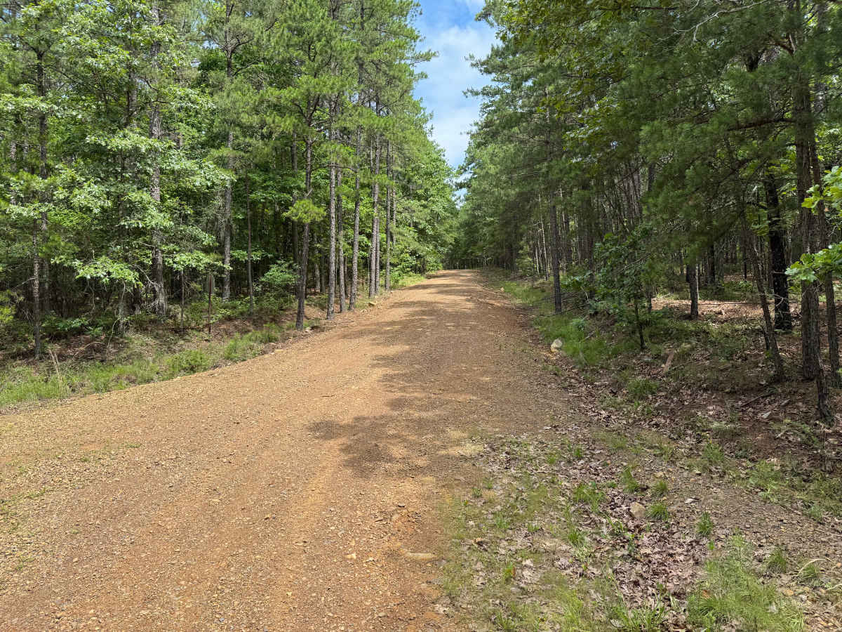 Bluffton trail photo