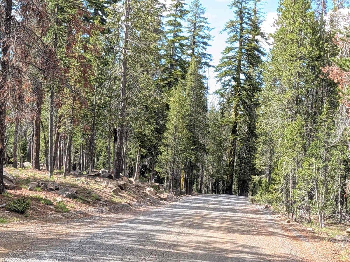 Medicine Lake Road - FS 44N75 photo 6