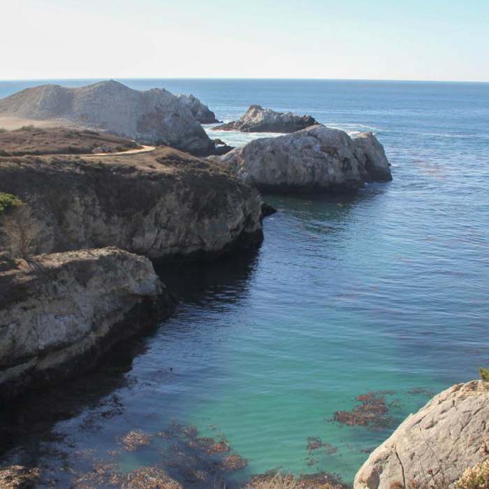 Near Bird Island Trail