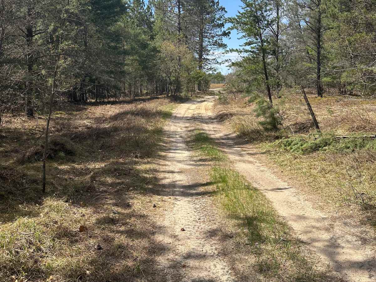 Old Grade Road photo 3