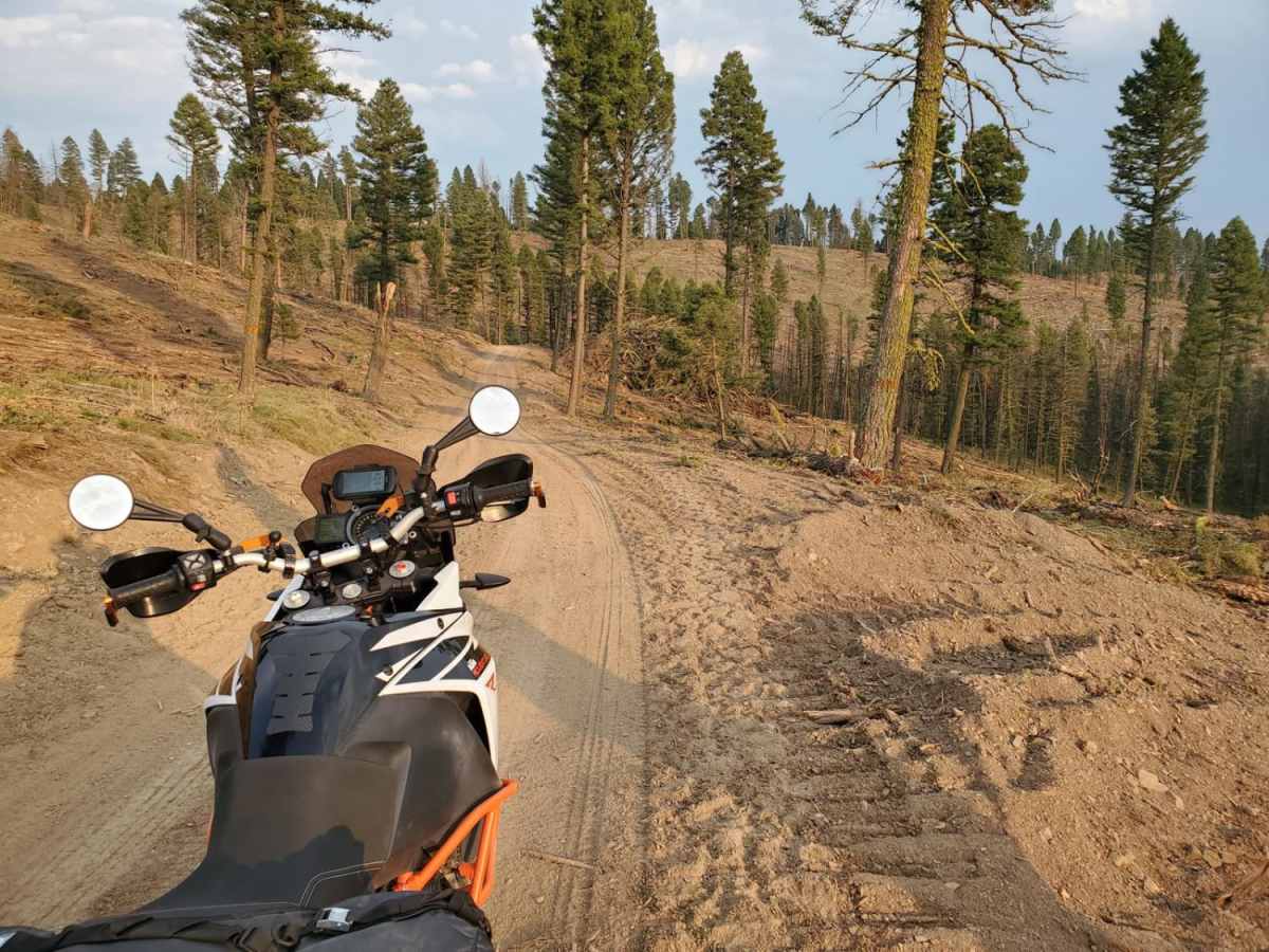 Dalton Mountain Road photo 4