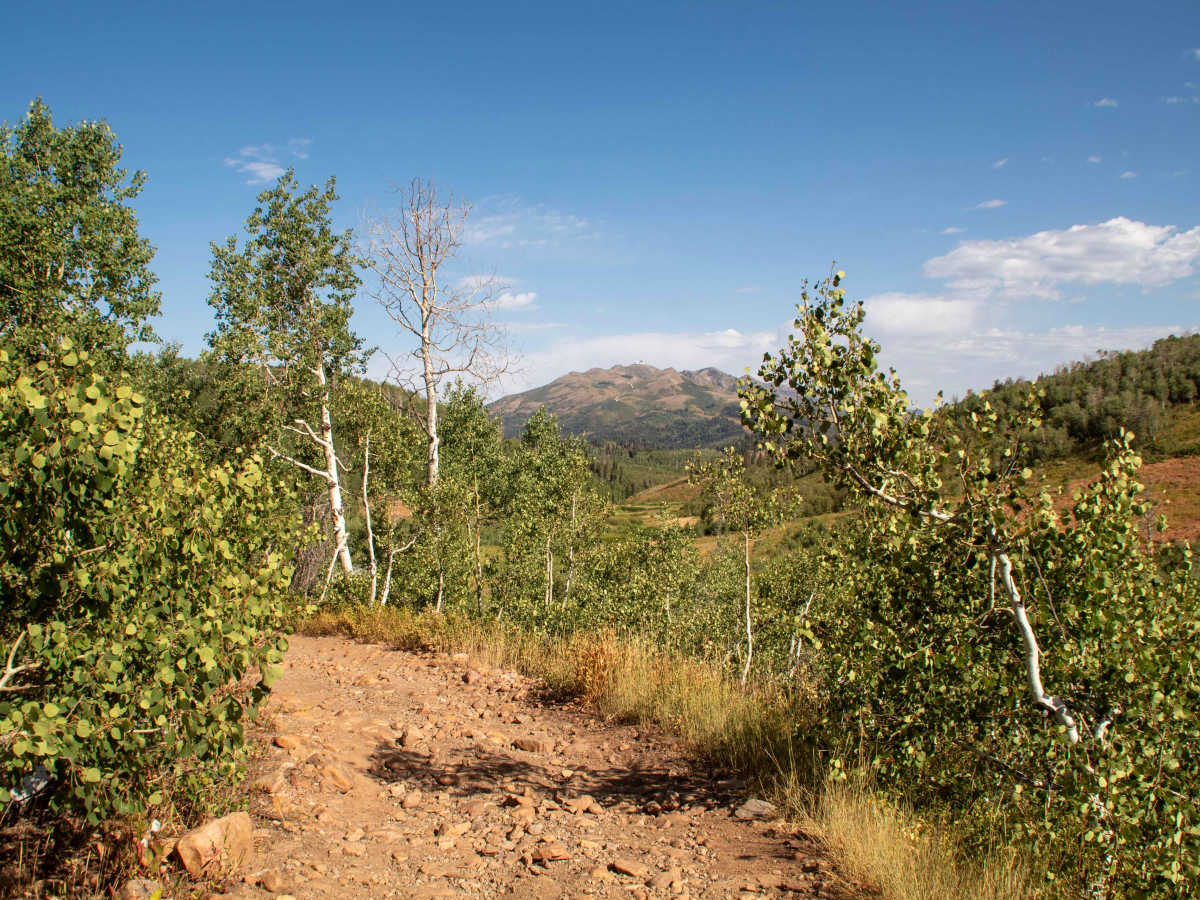 Chicken Creek trail photo