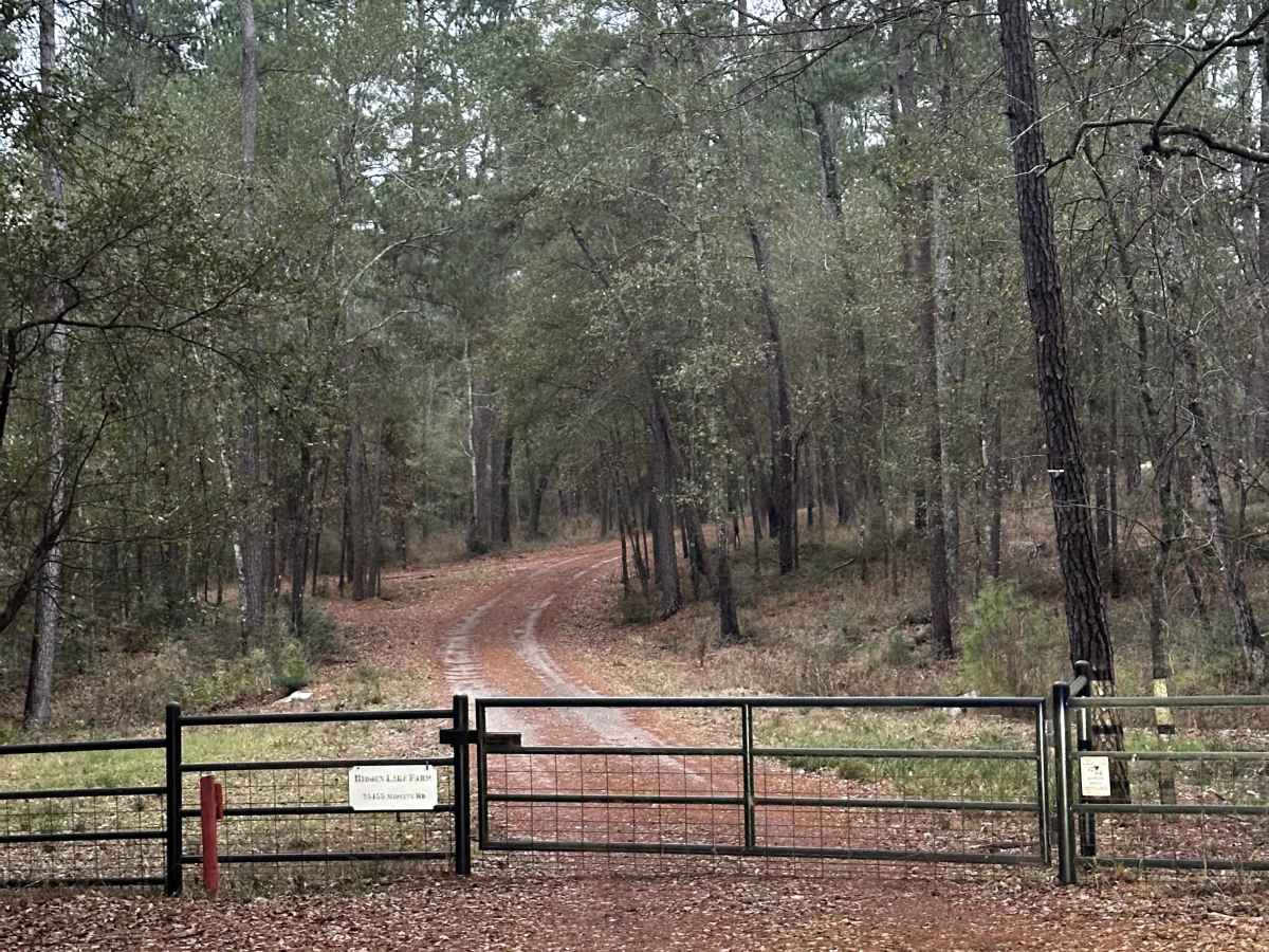 Midyett Road photo 5