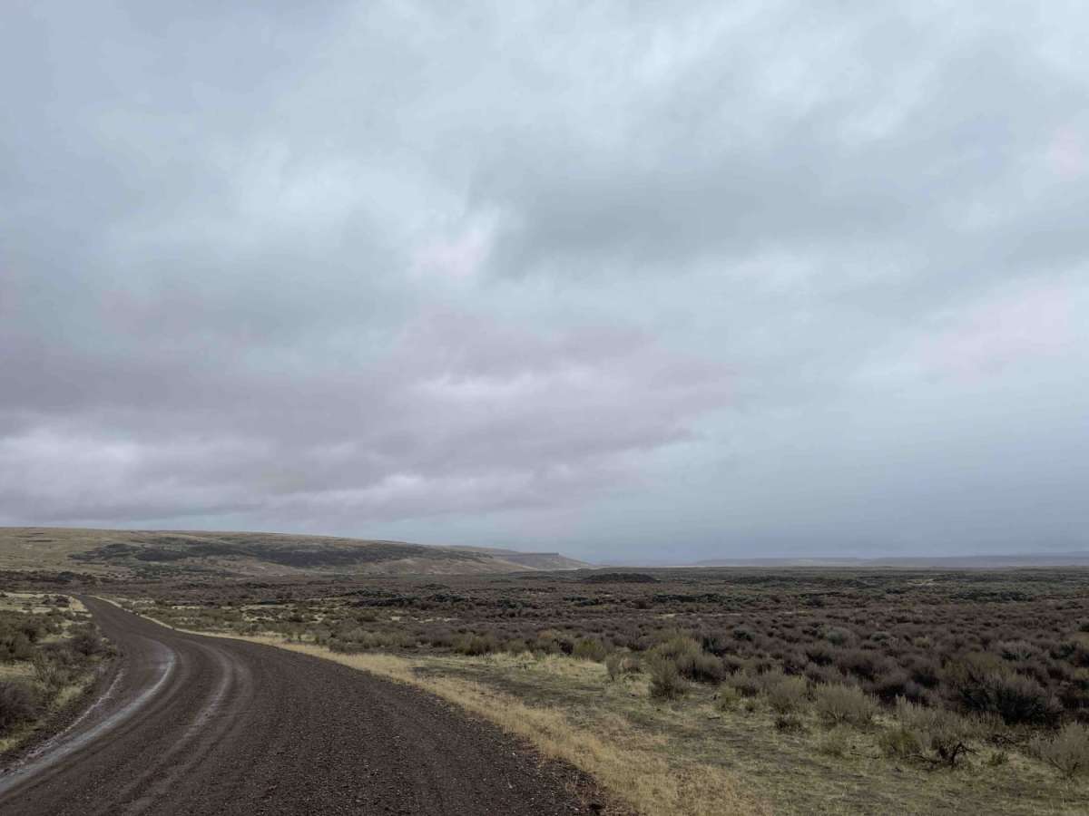 Danner Loop to Cow Creek trail photo