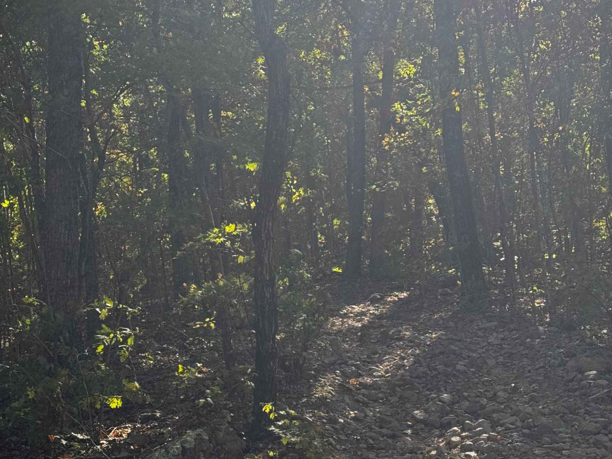Rugged Cross photo 5