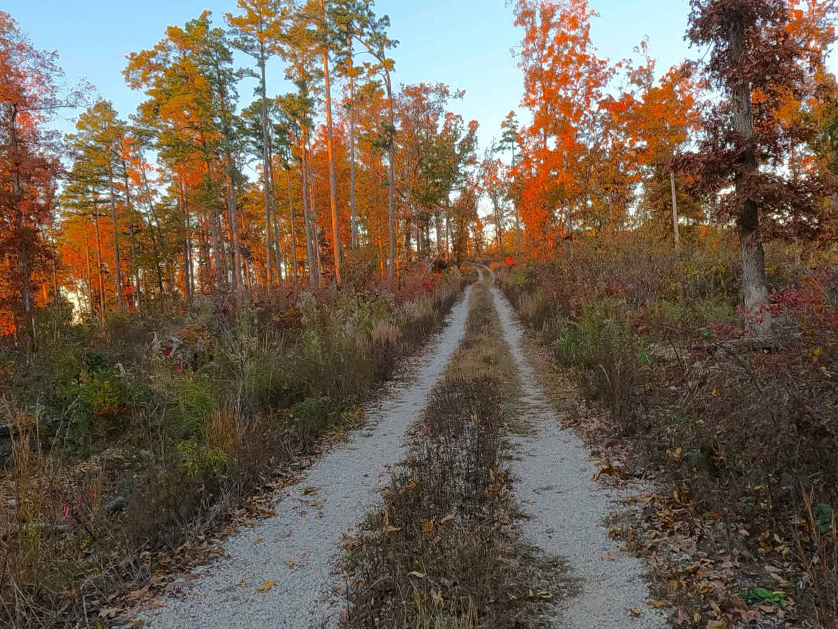 Lakeview - FS 3827 photo 5