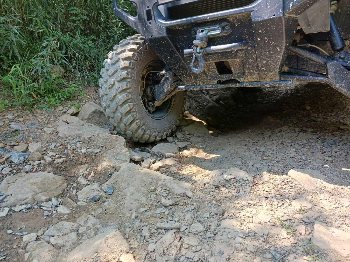 Pine Lane - Rock Run Recreation Area photo 6