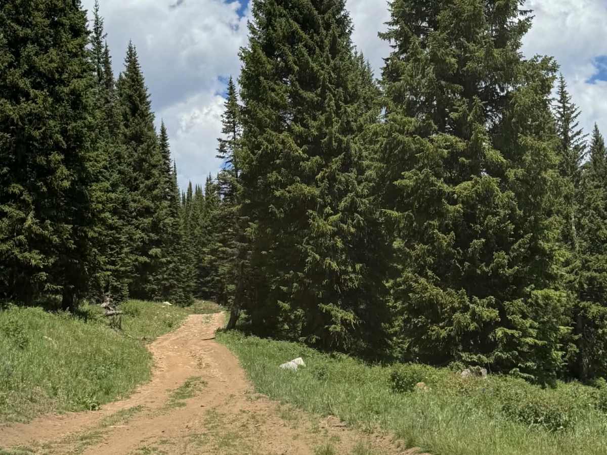 Transfer Trail North photo 2