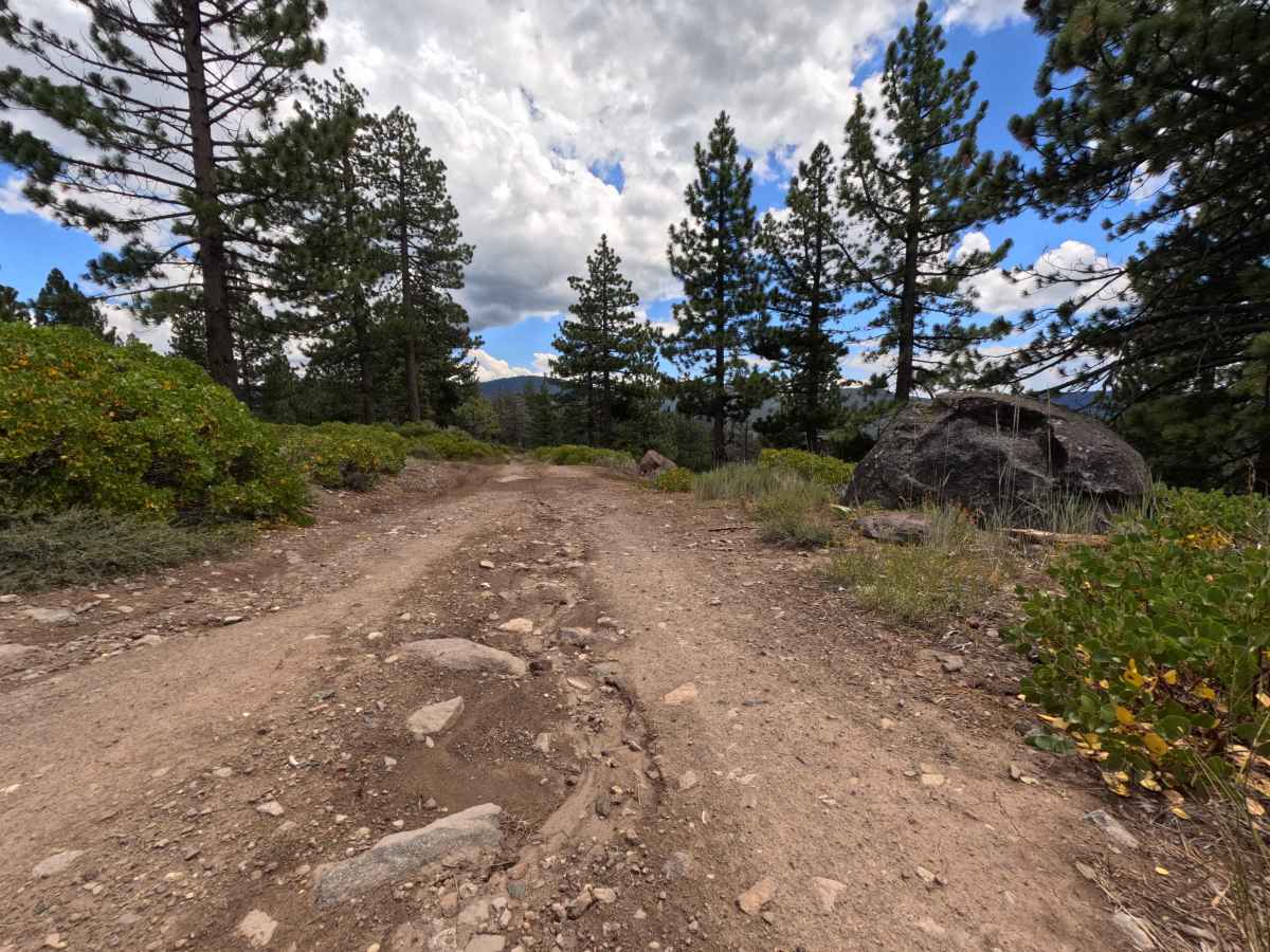 Pole Creek Spur - FS 5708 trail photo