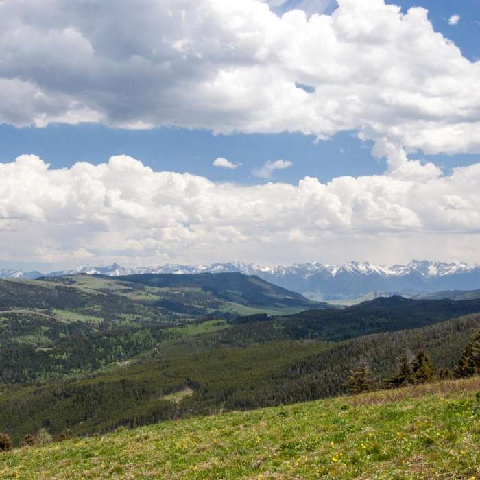 Near Chestnut Mountain