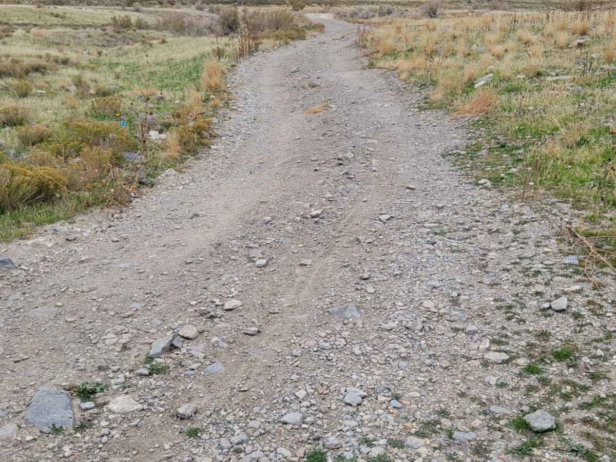 Round The Bend photo 2