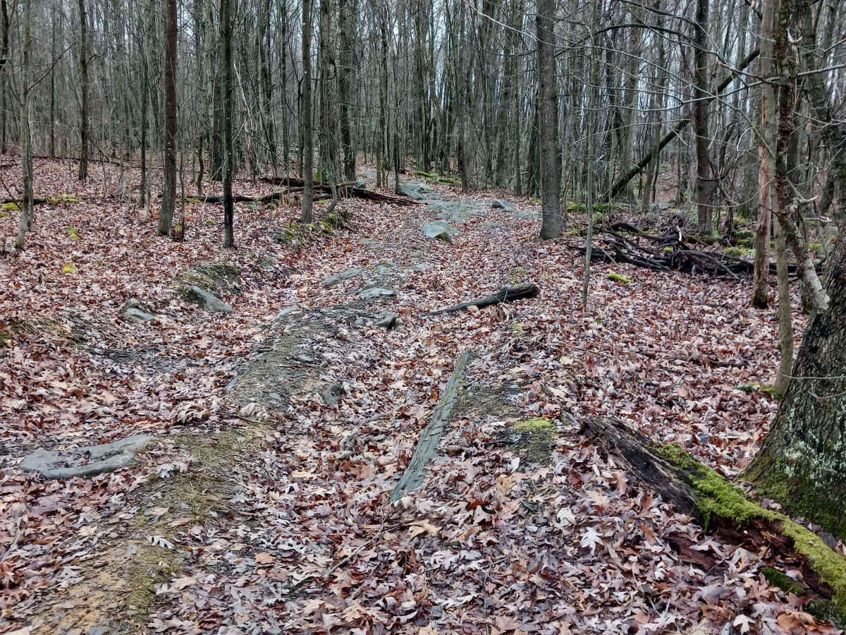 OHV 24 - Rock Run Recreation Area photo 4