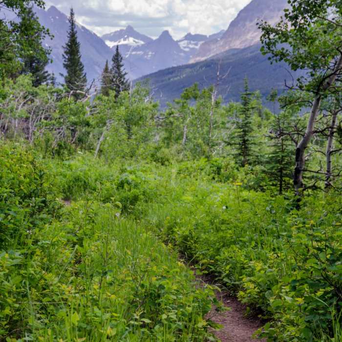 Near Pacific Northwest National Scenic Trail Section 1