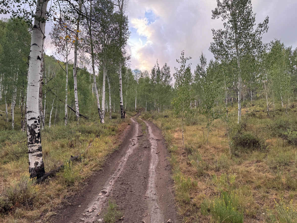 Flick Ridge Road photo 2