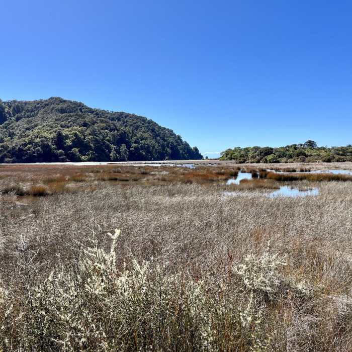 Near Separation Point Trail