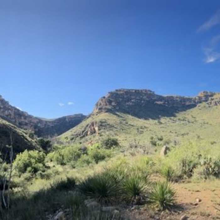 Near Last Chance Canyon Trail (T.226)