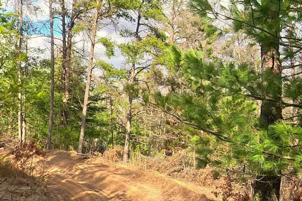 ORV H-57 : Bull Gap Hill Climb - Primary Return Loop <50"