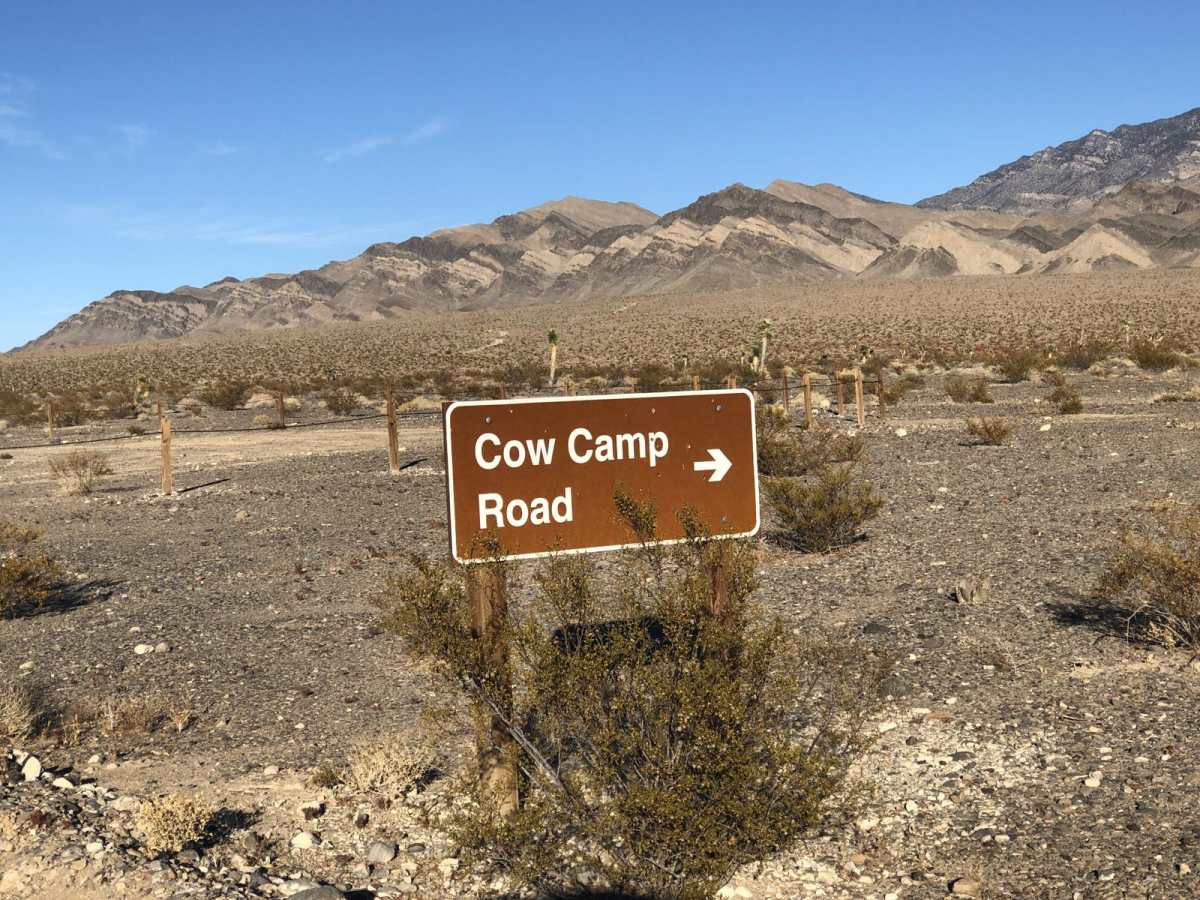 Cow Camp Road trail photo