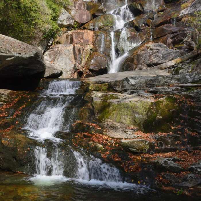 Near Ramsey Cascades Trail Near Ramsey Cascades Trail