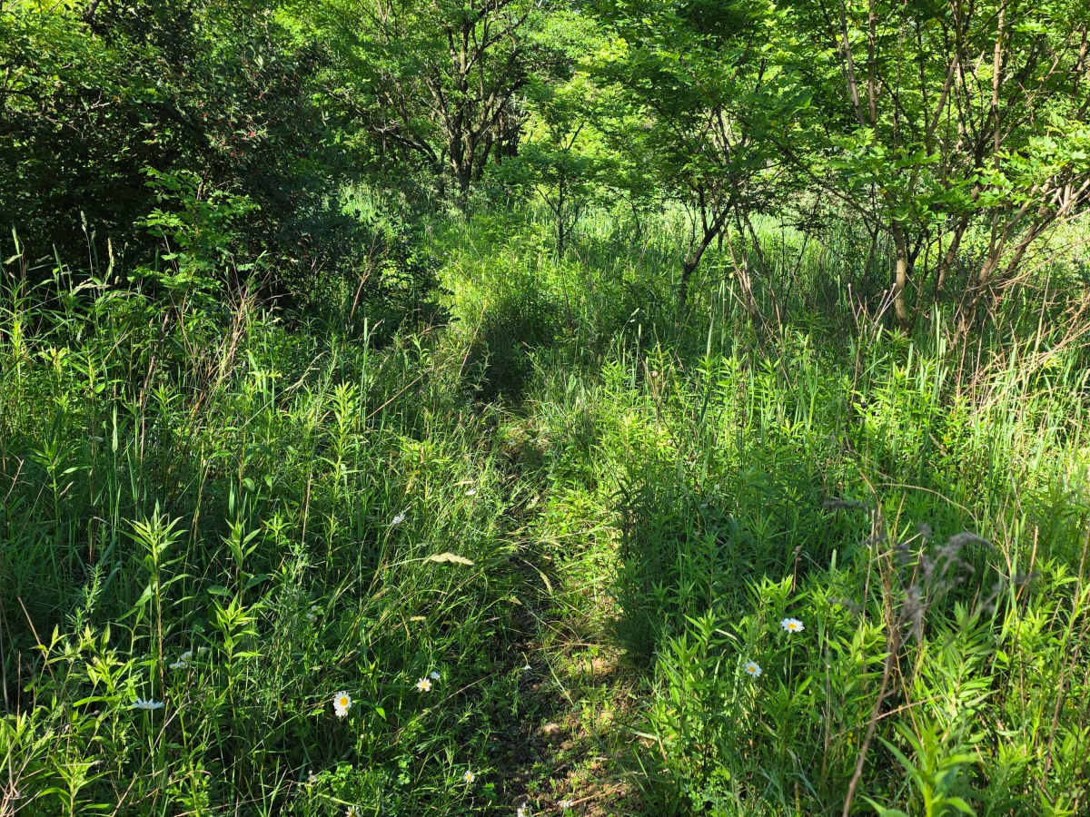 Single Track J3 photo 5