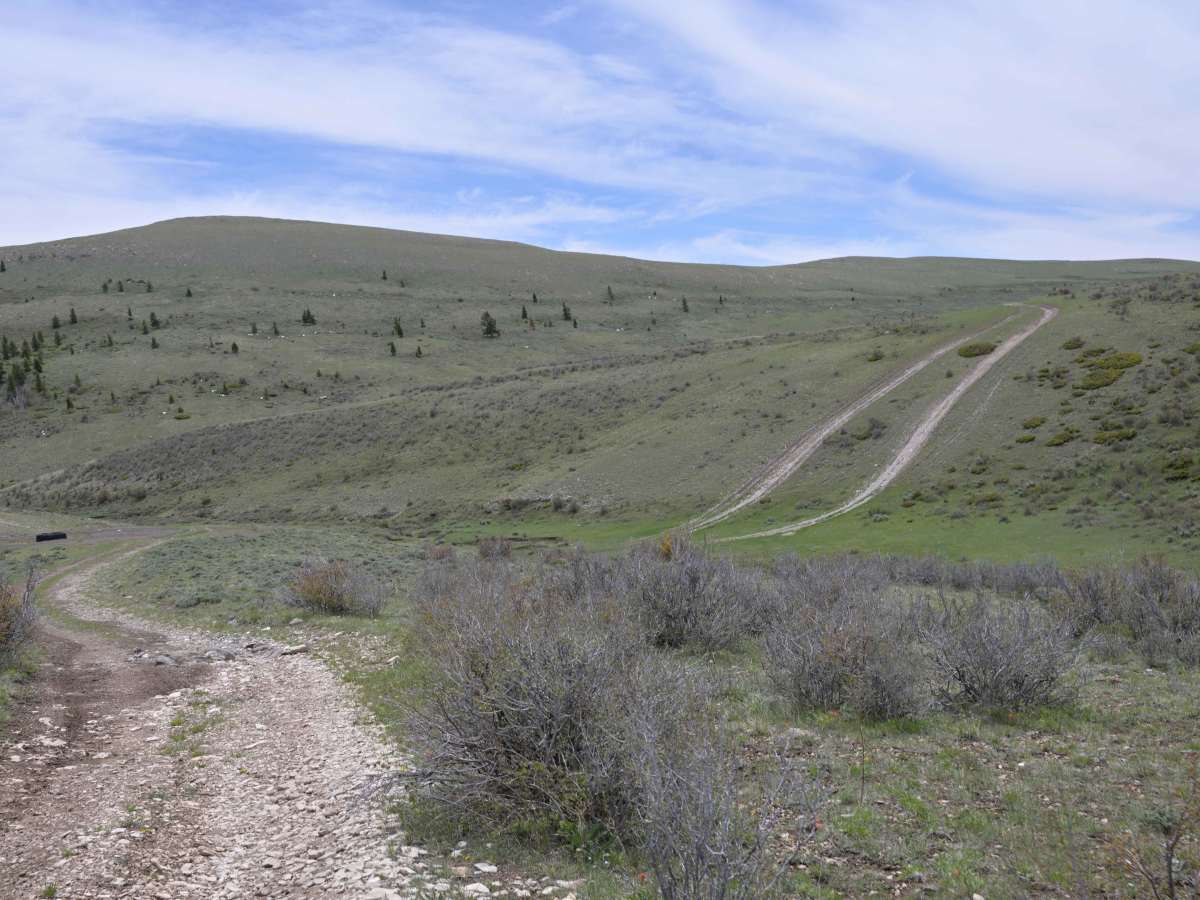 East Draw Diamond Ridge Connector - FS 122 photo 2