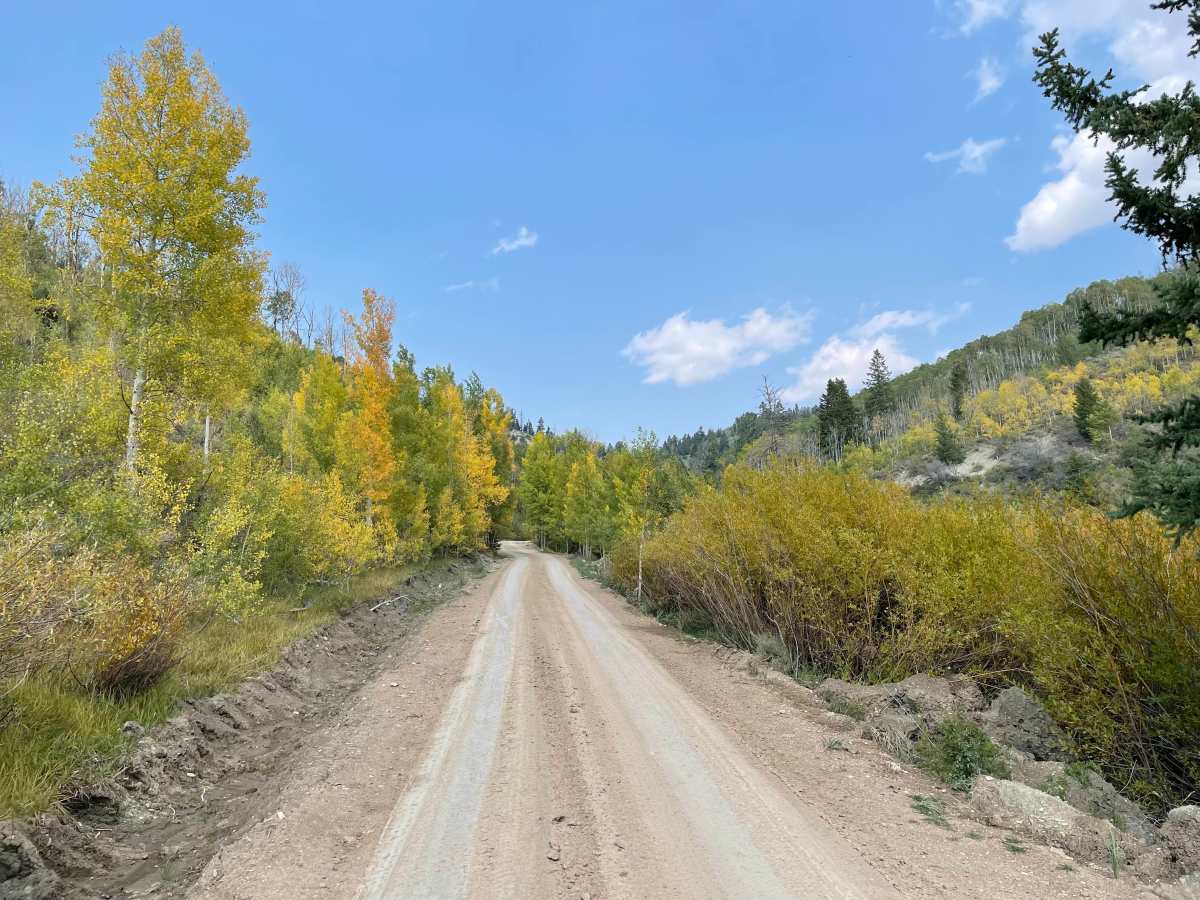 Timber Canyon Trail photo 5