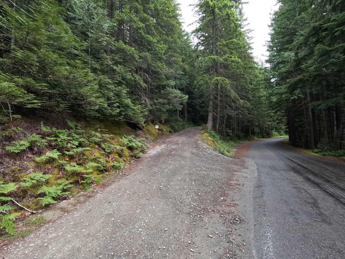 Sibley Creek - FS 1540 trail photo