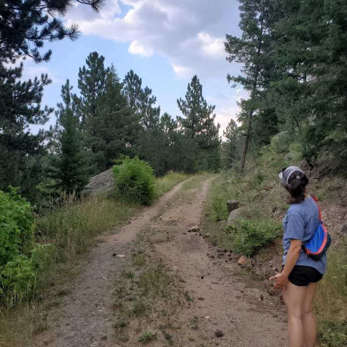 Near Fowler Trail