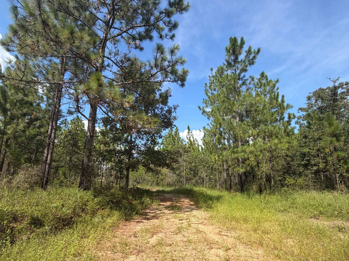 Blackwater River R73 trail photo