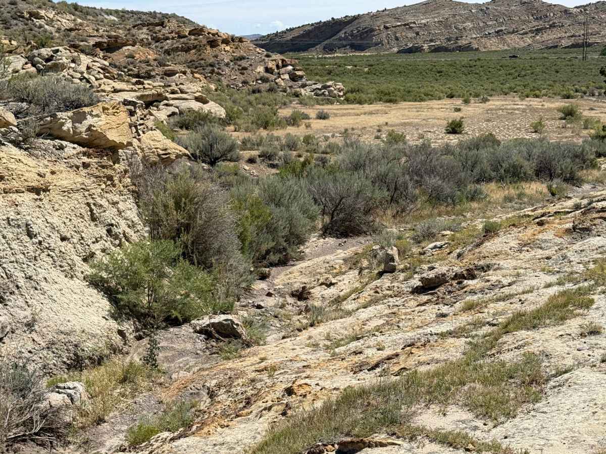 Picnic Area Trail trail photo