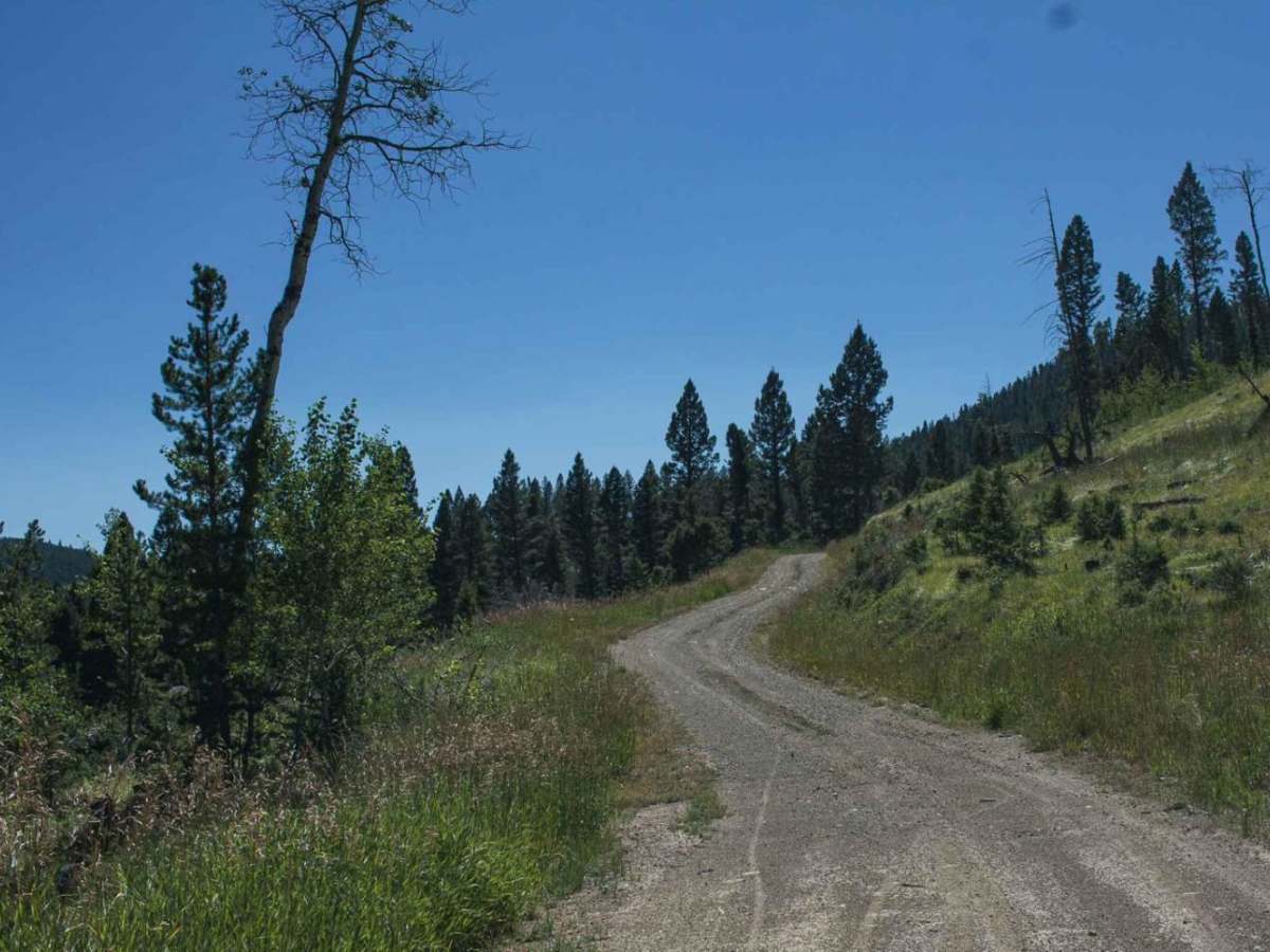 Treasure Mountain photo 6