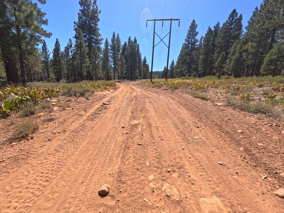Powerline - FS 089-034-10 photo 4