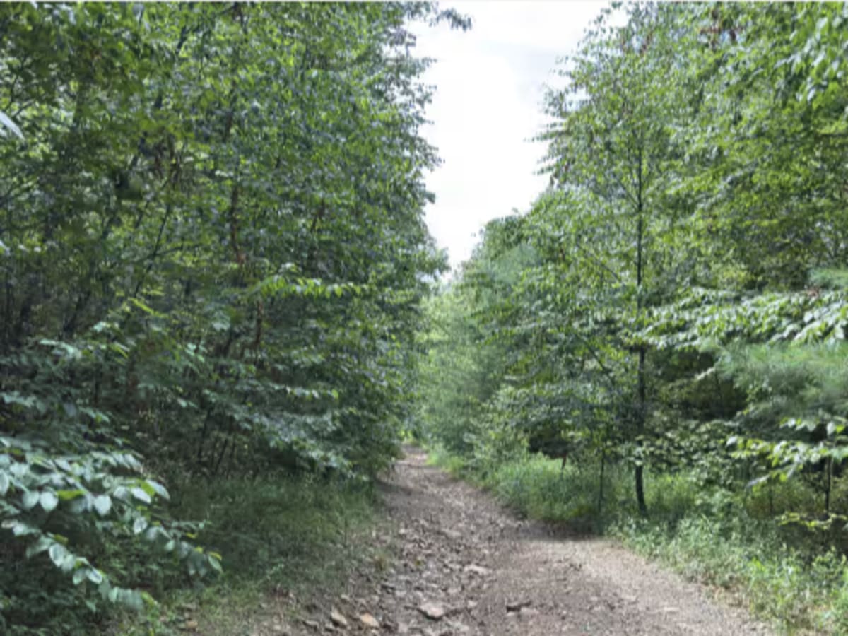 Beech Creek Access  photo 5