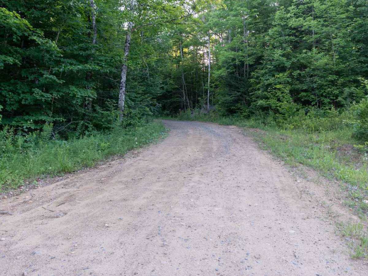 Mud Lake Road trail photo