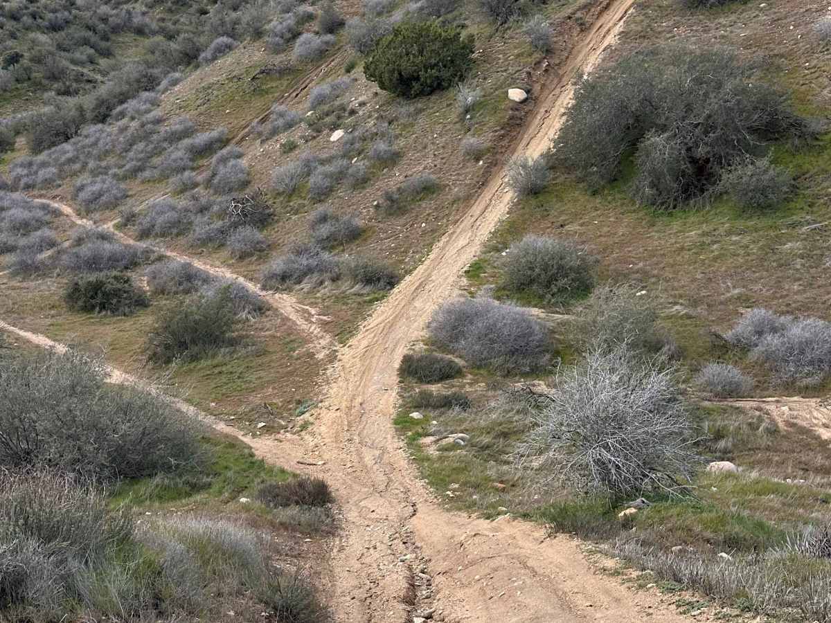 P-Town Loop Out photo 4