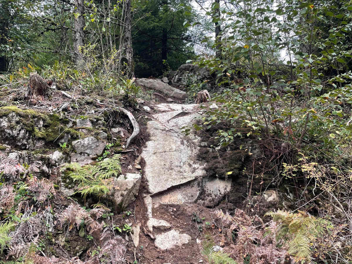 The Wall trail photo