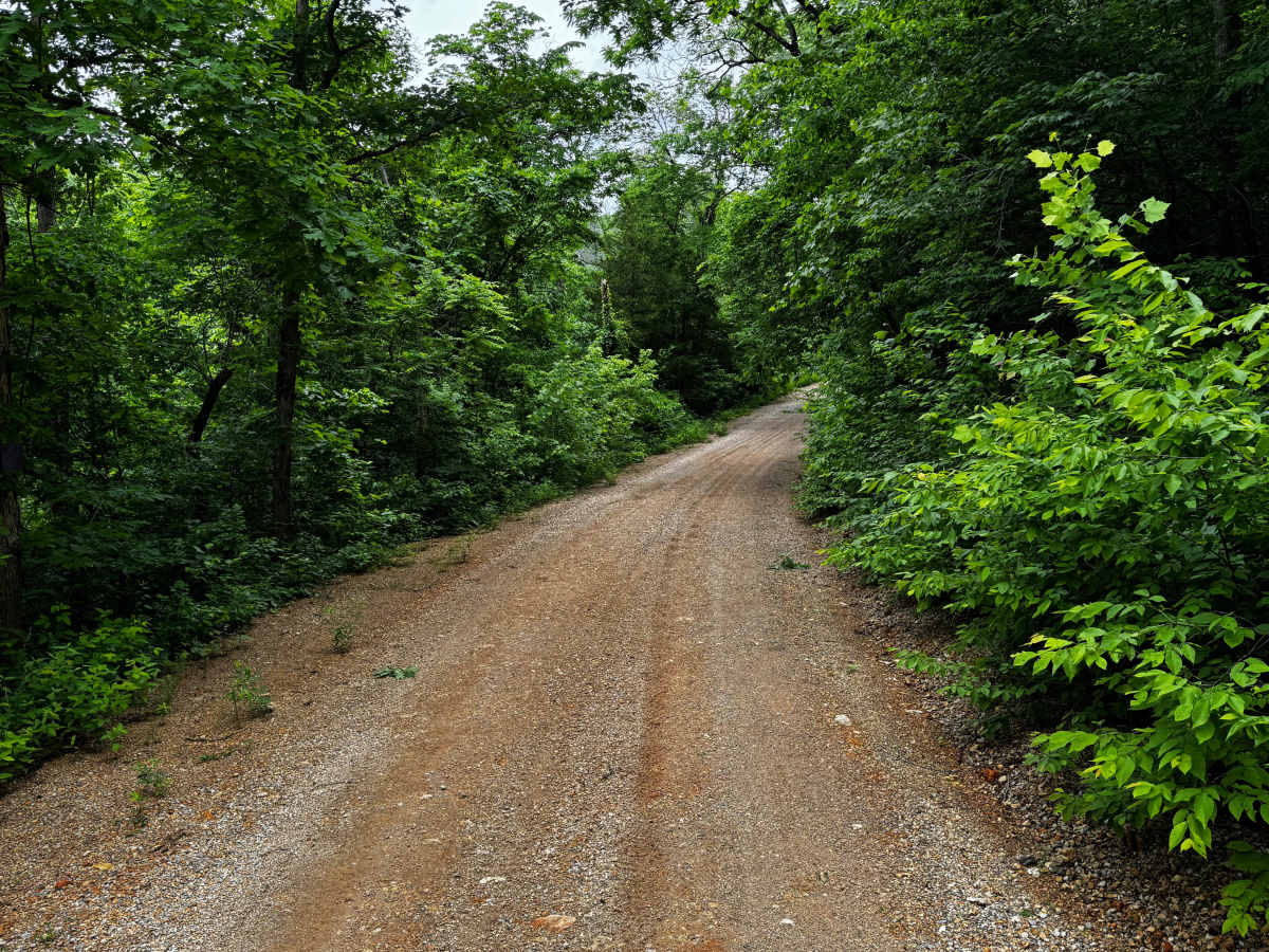 North Mill Creek photo 3